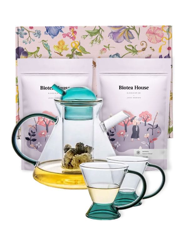 Japonés 2 Gift Pack