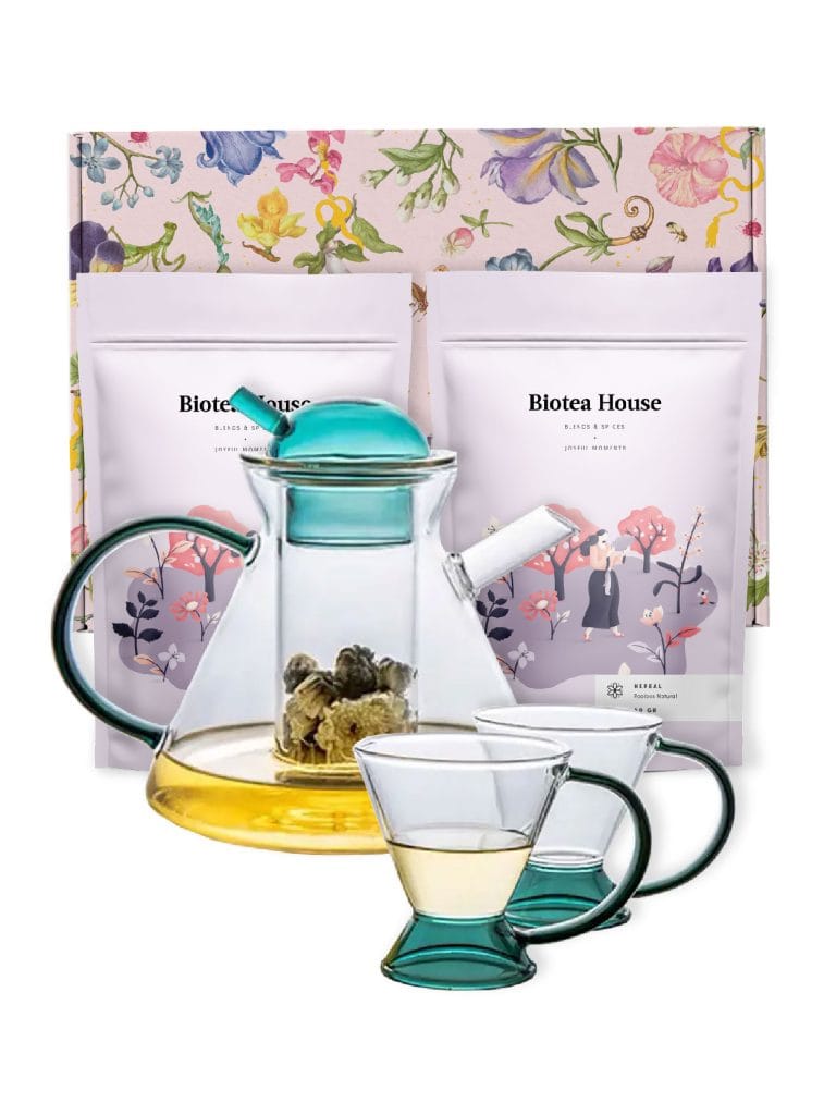 Japonés 2 Gift Pack