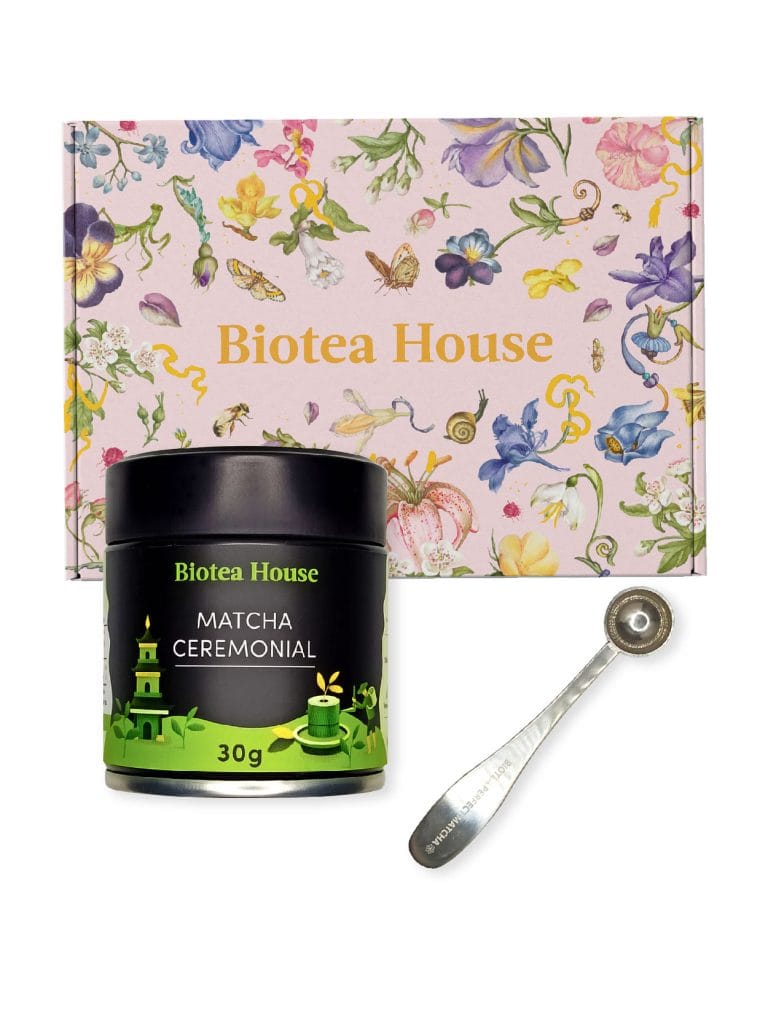 Gift Matcha Ceremonial + Cuchara: Regalo Ideal