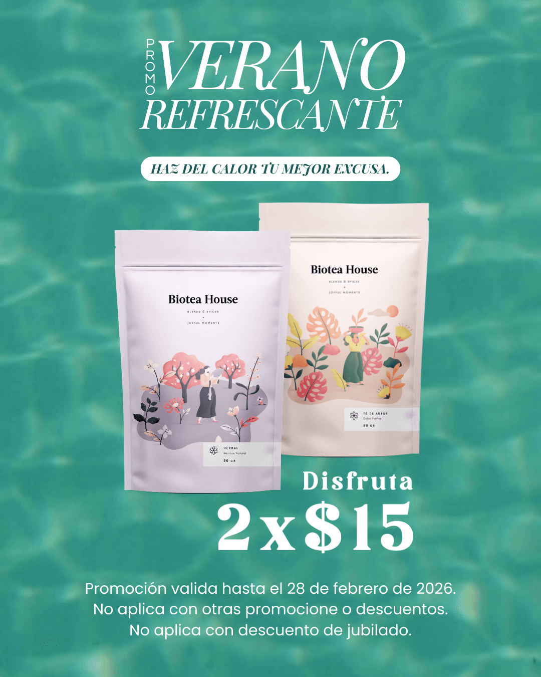promo verano enero 2026 (2)