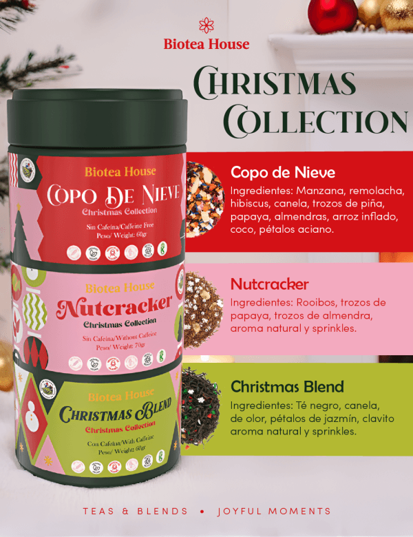 Christmas Collection 2025